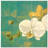 Walk in the Park I Print by Paulo Romero