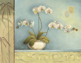 Orchid Spa II Láminas por Lisa Audit Orchid Spa II Láminas por Lisa Audit