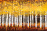 Golden Aspens Prints by Robert Holman