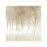 Soft Light II Plakat av Adam Brock