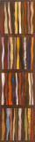 Sassy I Posters by John Douglas