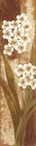 Tropical Blossom II Prints by Nadja Naila Ugo