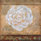 Bonita V Prints by Dysart 