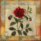 Summer's Inspiration I Kunstdrucke von John Douglas