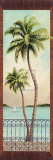 Colonial Palm II Posters by Don Tyler