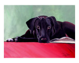 Pablo Giclee Print by Joanna Jackson