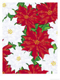 Poinsettia Pattern Affiches
