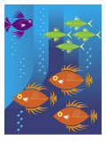 School of Fish Affiches