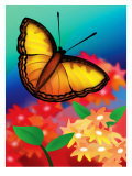 Papillon Posters
