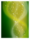 Bubbles Foto