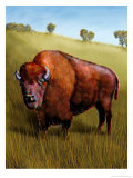 Buffalo Prints