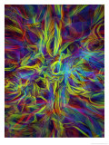 Holographic Texture Posters