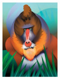 Baboon Posters
