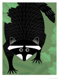 A Raccoon Kunstdrucke