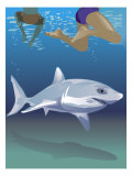 Shark Swimming Beneath Swimmers Poster