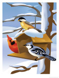 A Bluebird, Cardinal, and Finch Sitting by a Birdfeeder Posters