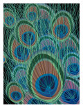 Peacock Feathers Obrazy Peacock Feathers Obrazy