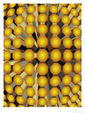 Geometric Cylinder Pattern Texture Lámina Geometric Cylinder Pattern Texture Lámina