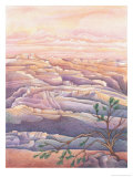 Texture, Canyon Posters