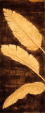 Tropical Palm Triptych I Prints by David Parks