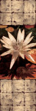 Waterlily Panel I Prints by John Seba Waterlily Panel I Prints by John Seba