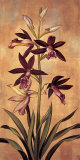 Burgundy Orchid Art by Jill Deveraux