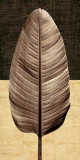 Palm Leaf II Posters van John Seba