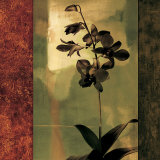 Fasziniert II|Mesmerized II Poster von Chris Donovan