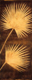 Fan Palm Triptych III Poster by David Parks