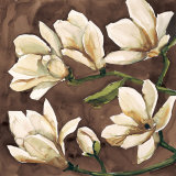Fiori di Magnolia Print by Giuseppina Tartagni