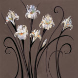 Concerto Prints by Nel Whatmore Concerto Prints by Nel Whatmore