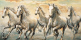 Wild Horses Posters by Ralph Steele