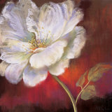 Like a Lady Prints by Nel Whatmore