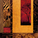 African Studies II Poster von Chris Donovan