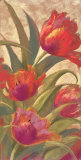Field of Dream III Posters by Nel Whatmore Field of Dream III Posters by Nel Whatmore