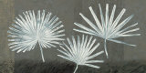 Three Palmettos Affiches par Steve Peterson