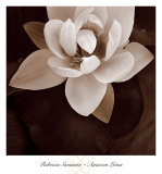 Amazon Lotus Posters par Rebecca Swanson