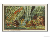 Exploring the Underwater Forests Giclee Print by Jean Marc Cote
