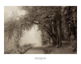 Fog III Posters van Igor Svibilsky