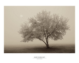 Forever Spring Prints by Igor Svibilsky