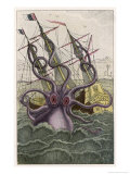 Denys De Montfort - Kraken Attacks a Sailing Vessel Digitálně vytištěná reprodukce Denys De Montfort - Kraken Attacks a Sailing Vessel Digitálně vytištěná reprodukce