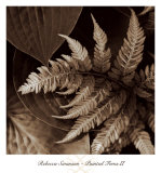 Painted Ferns II Posters by Rebecca Swanson