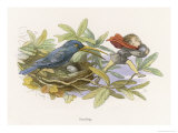 An Elf Steals a Bird's Egg Giclee Print by Richard Doyle An Elf Steals a Bird's Egg Giclee Print by Richard Doyle