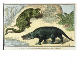 An Iguanodon and a Megalosaurus of the Cretacean Era Giclee Print by A. Demarly
