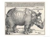 The Indian Rhinoceros is the Largest of the Asian Spiecies Wydruk giclee autor Albrecht Dürer