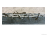 Sea Serpent Look-Alike a School of Dolphins Giclee Print by L.r. Brightwell