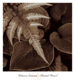 Painted Ferns I Posters by Rebecca Swanson