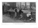 Thomas Bewick the Eminent Engraver and His Assistants Making Woodcuts of Stuffed Birds Giclee Print by John Eyre