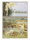 An Elf Peeps at a Lake-Spirit as She Relaxes Under the Surface Giclee Print by Leo Bates