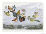The Fairy Queen Takes an Airy Drive in a Light Carriage reproduction procédé giclée par Richard Doyle